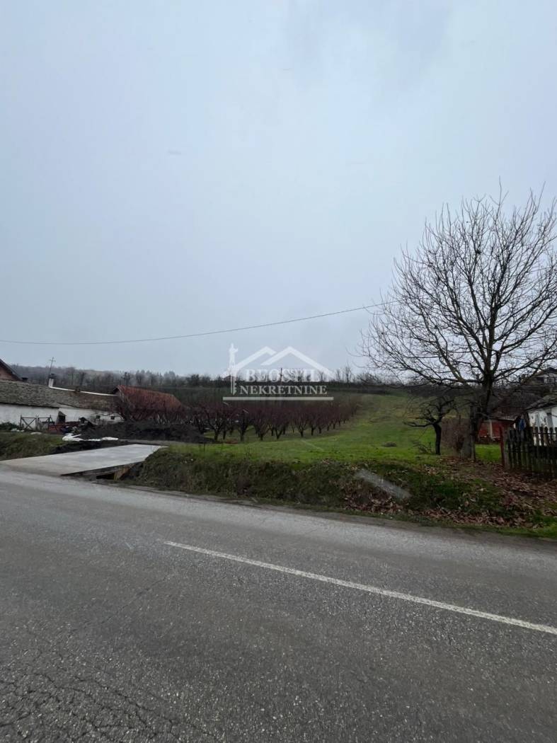 Smederevo - Orešac - 9,26ari ID#24732 - Više