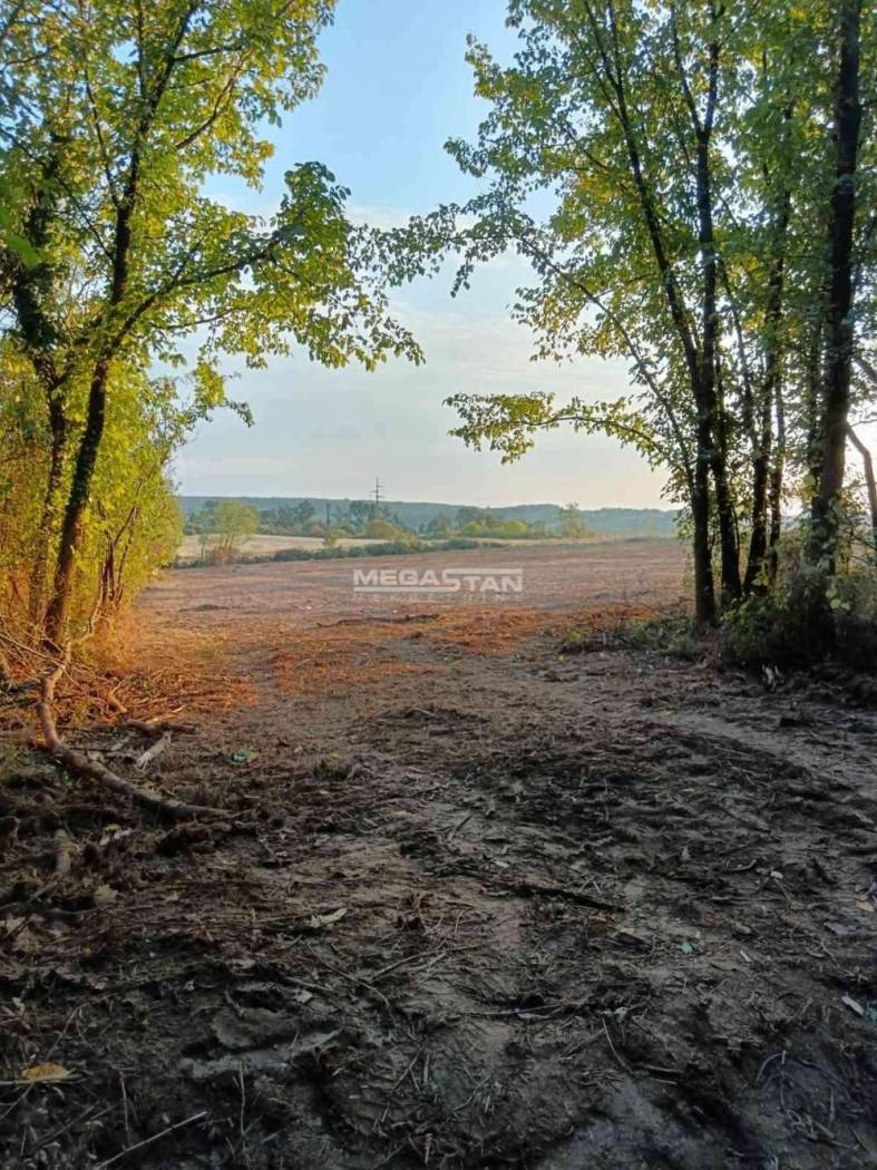 Šiljakovac, plac u zelenilu - Više