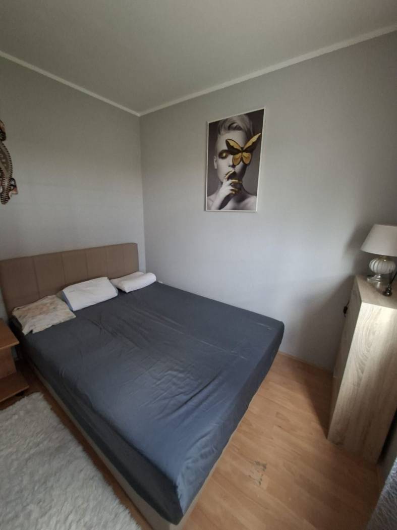 Stan – Beograd, Dunavski venac, Palilula - Više