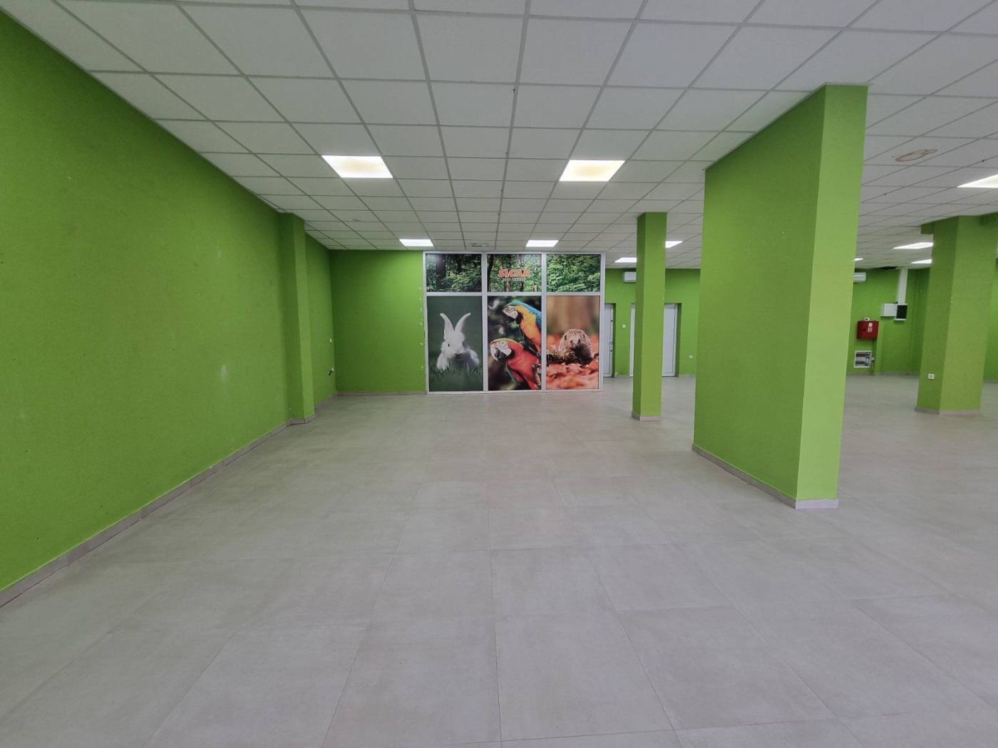 Poslovni prostor, Centar 1, 1500 EUR - Prikaz 5
