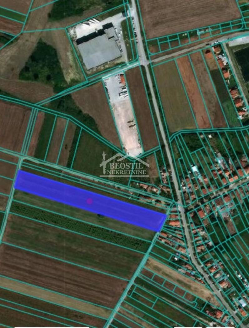 Surčin - Dobanovci - 53a ID#24959 - Prikaz 3