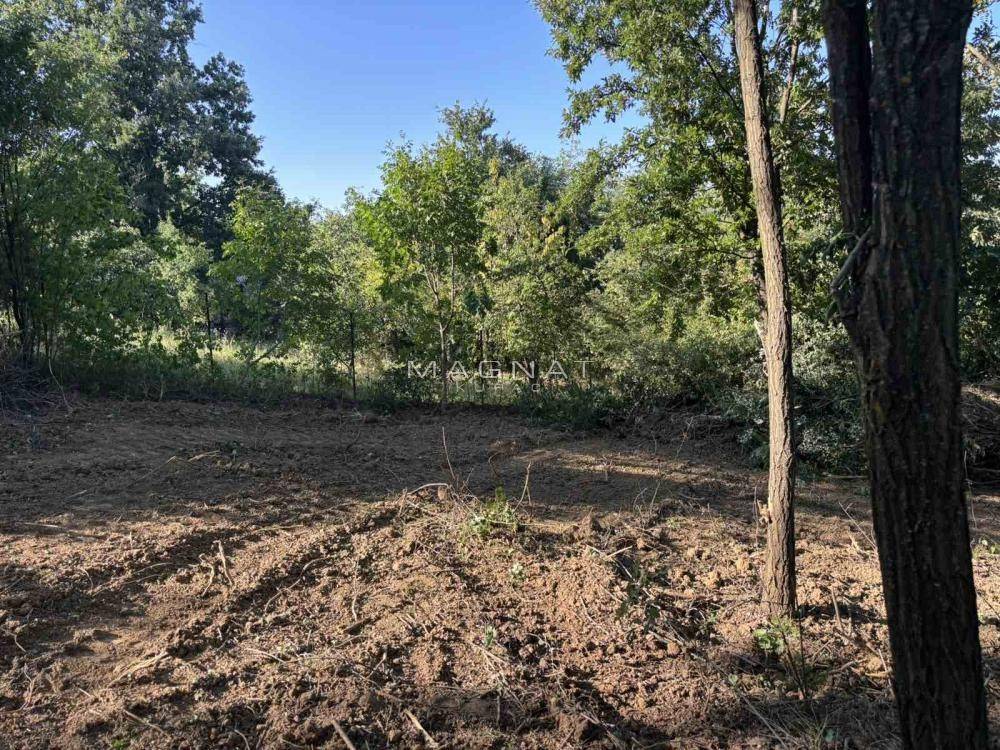 Plac na odličnoj lokaciji - blizina Sopota i Kosmaja ID#5676 - Više