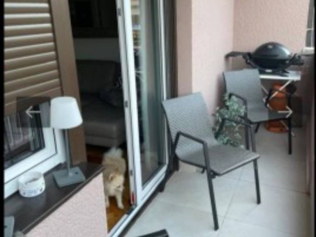 Foto 14