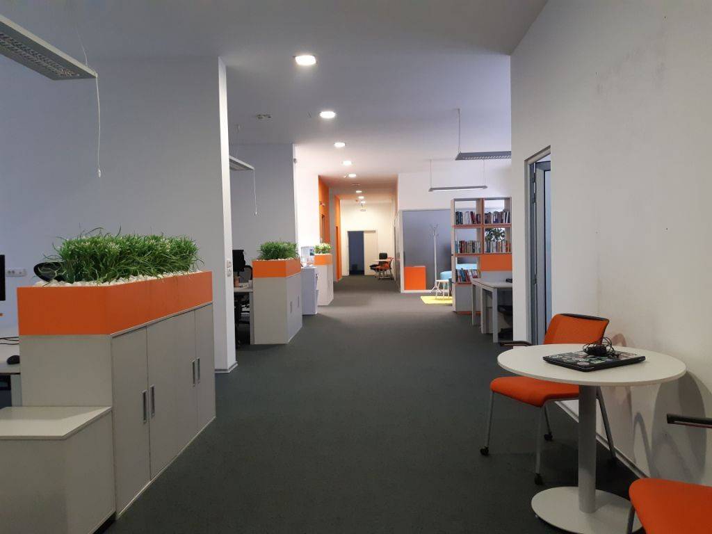 Foto 7