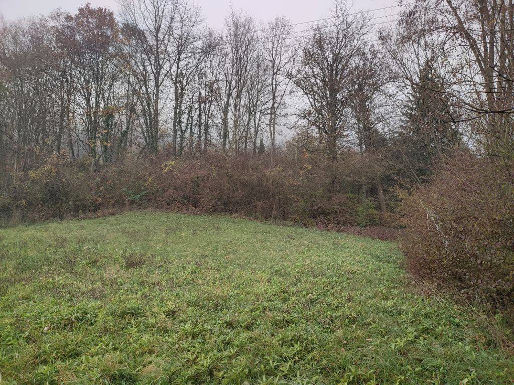 Foto 21