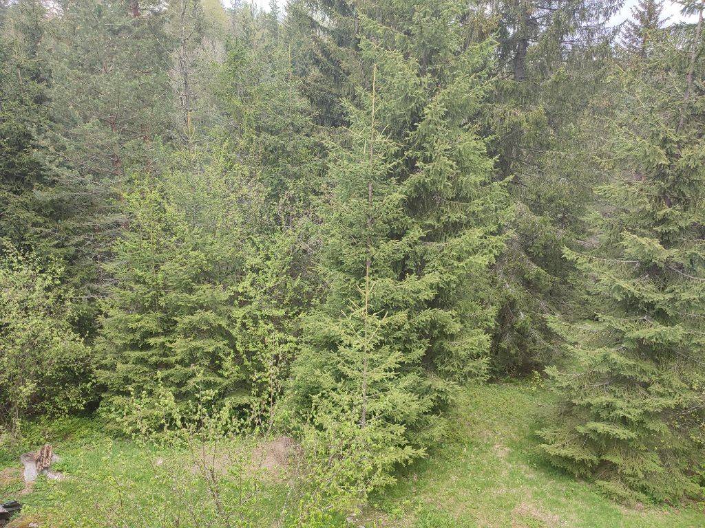 Foto 38