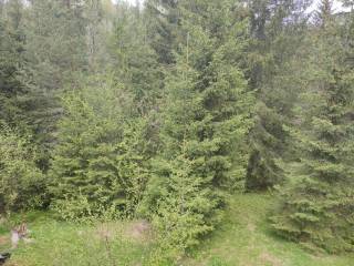 Foto 38