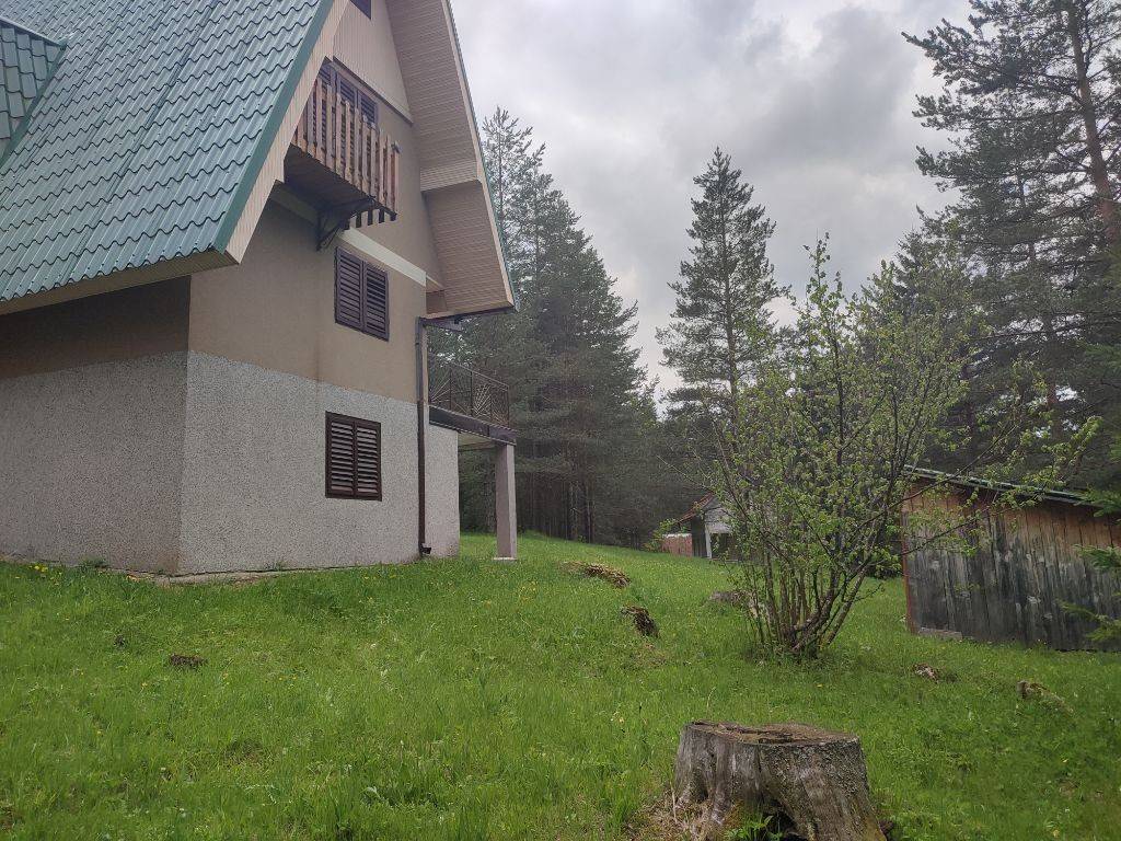 Foto 51