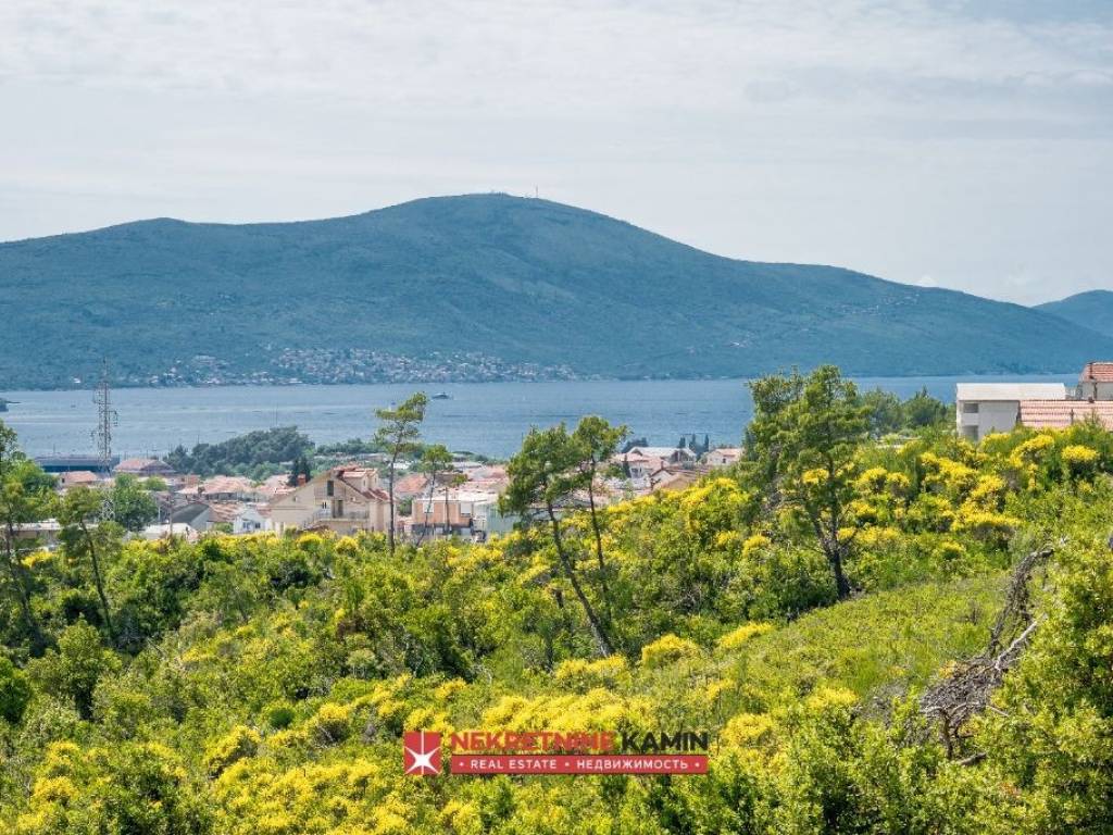 Foto 46