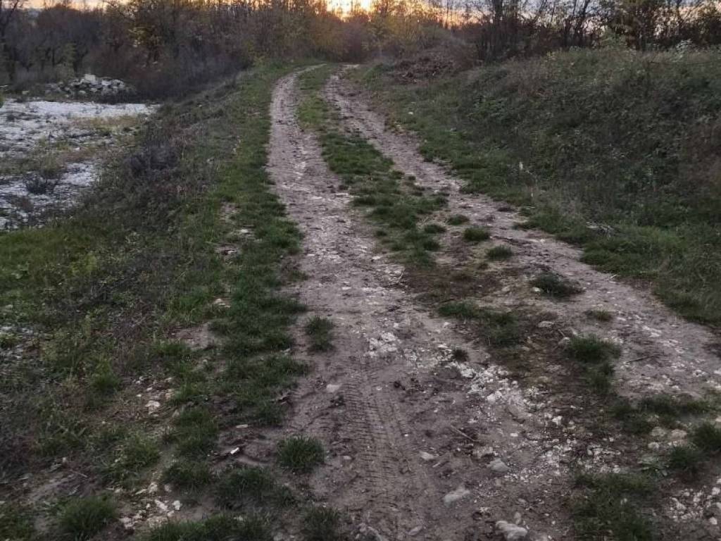 Foto 11