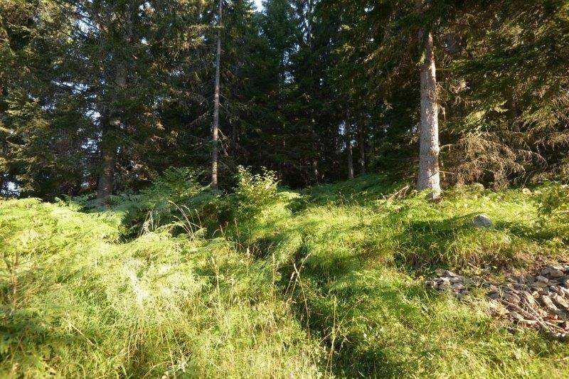 Foto 20