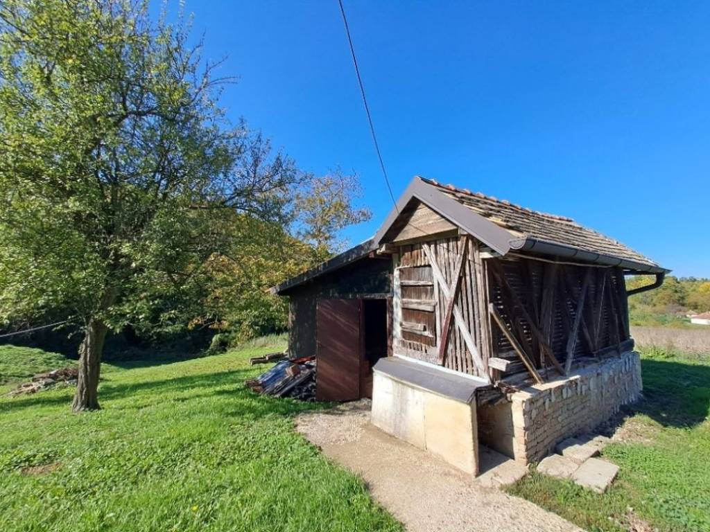 Foto 10