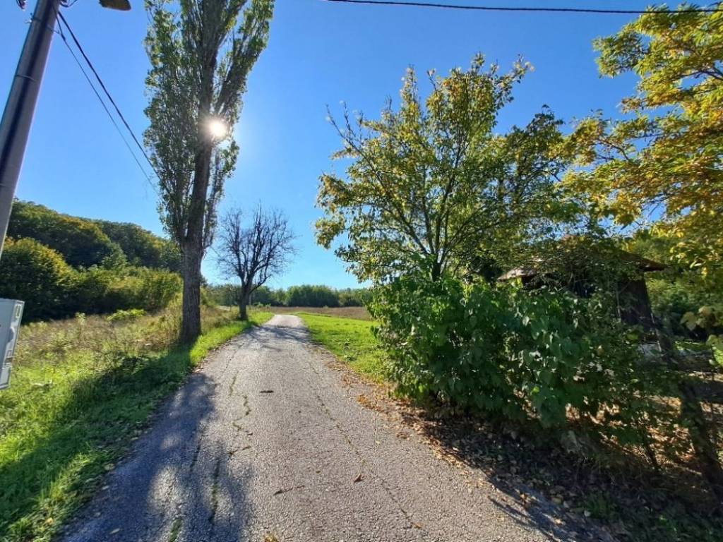 Foto 11