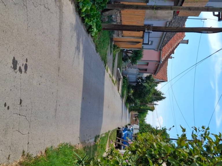 Foto 19